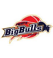Iwate Big Bulls logo