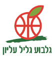 Hapoel Gilboa Galil Elyon logo