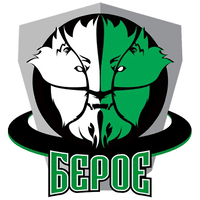Beroe logo