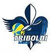 Vanoli Cremona logo