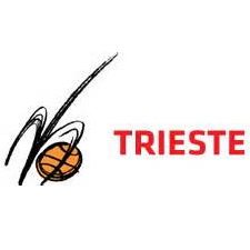 Pallacanestro Trieste 2004 logo