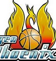 Umea BSKT logo