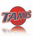 Swiss Central Basket logo