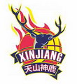 Xinjiang Wojiang Women's logo