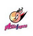 Toyota Antelopes Women's logo