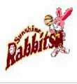 Toyota Rabbits Women's logo