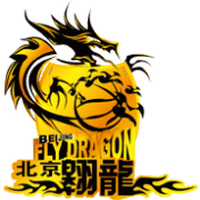 Beijing Fly Dragon logo