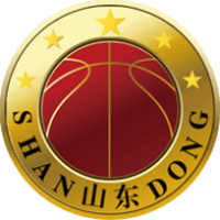ShanDong Lions logo
