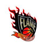 Shanxi Zhuyeqing Women's logo