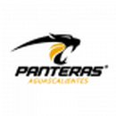 Panteras logo