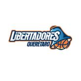Libertadores logo