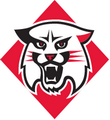Davidson logo