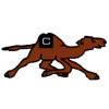 Campbell logo