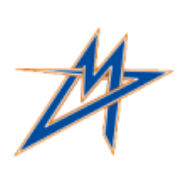 Vienna Metrostars