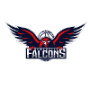 Newcastle Falcons W
