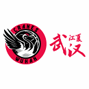 Wuhan Shengfan (w)