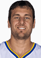 Andrew Bogut