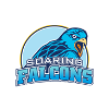ADU Falcons (W)