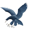 ADMU Eagles (W)